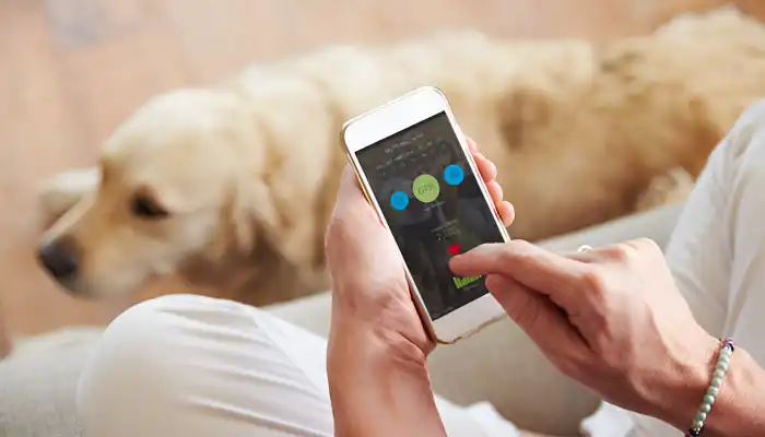 How Do Dog Bark Translators Work